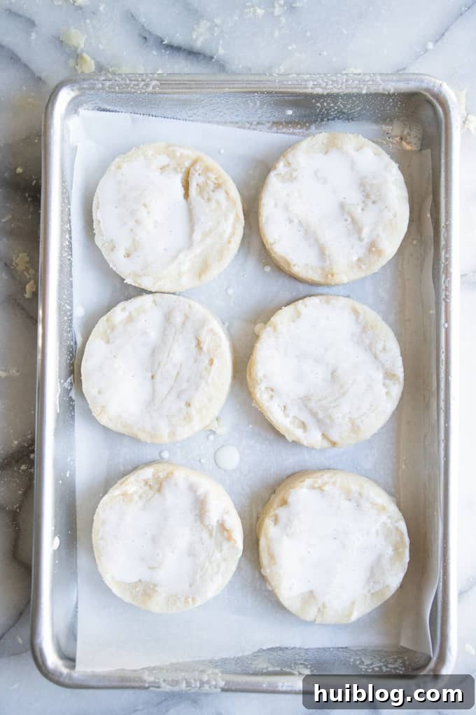 Fluffy Southern Biscuits from Scratch 12 Rows of perfectly cut homemade biscuits, brushed with cream, arranged on a baking sheet and ready to be transferred to the oven.