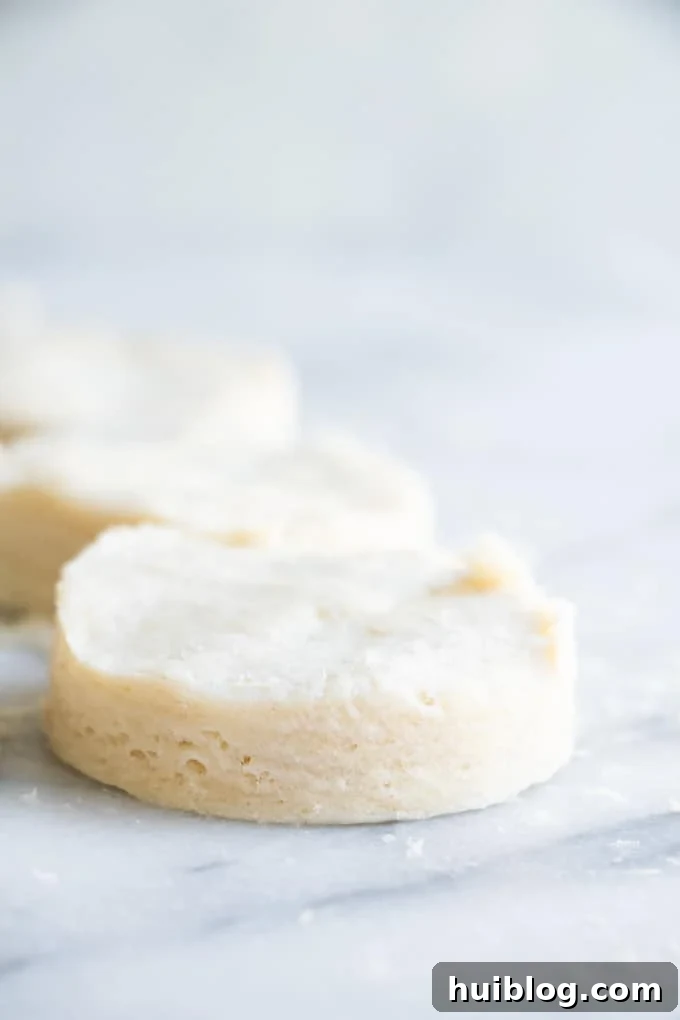 Fluffy Southern Biscuits from Scratch 13 A close-up view of a perfectly cut homemade biscuit, distinctly showing the numerous flaky layers within the raw dough, a promise of its tender baked texture.
