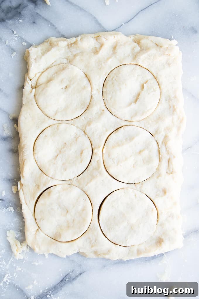Fluffy Southern Biscuits from Scratch 10 An overhead view of biscuit dough with circular cutouts, demonstrating the precise method for shaping homemade biscuits.