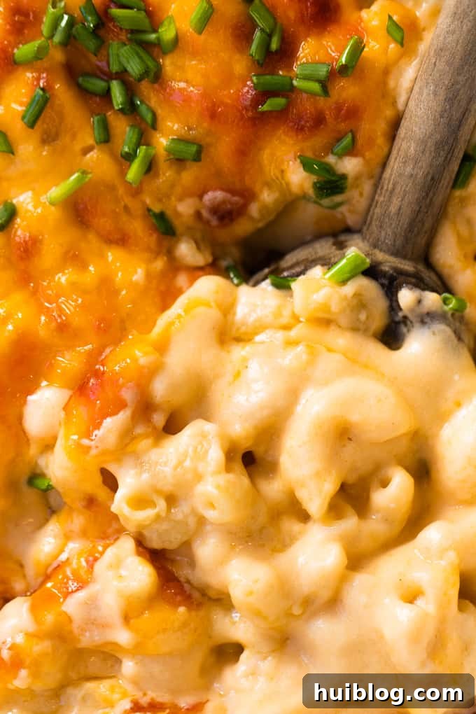 Golden Baked Mac and Cheese Made Easy 2 Wooden spoon in homemade baked macaroni and cheese showing still creamy consistency after baking.