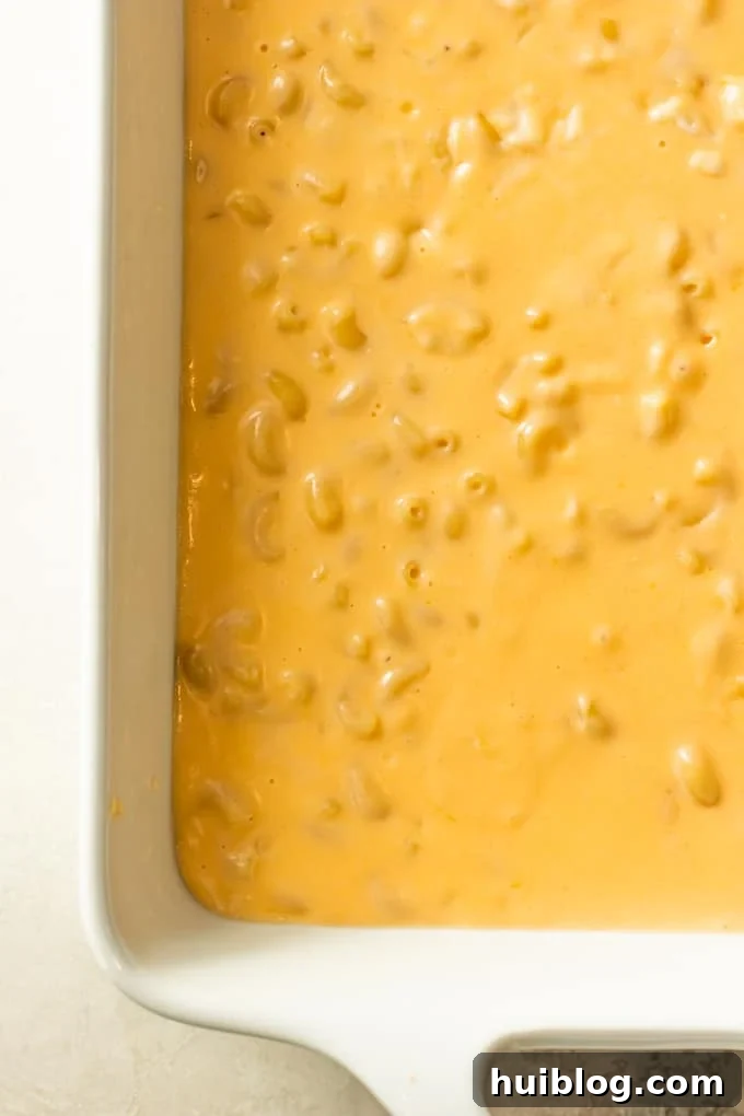 Golden Baked Mac and Cheese Made Easy 6 Macaroni and cheese added to a baking dish, showing the extra sauce consistency needed for baking macaroni and cheese.