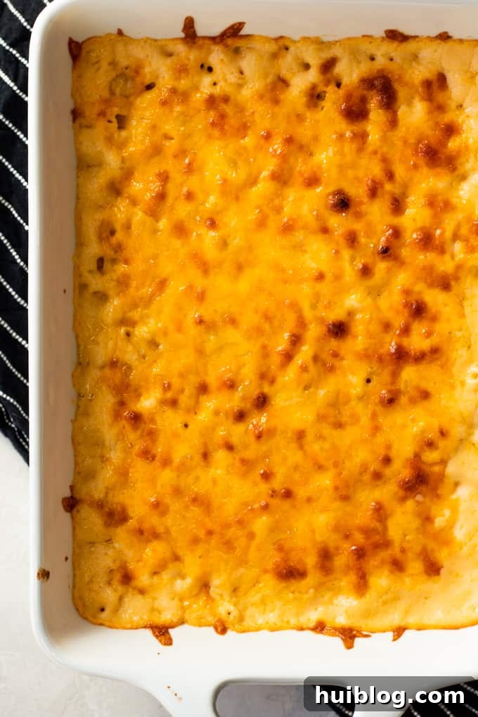 Golden Baked Mac and Cheese Made Easy 7 Baking dish filled with baked macaroni and cheese, showing browned bits of cheese on the top layer.
