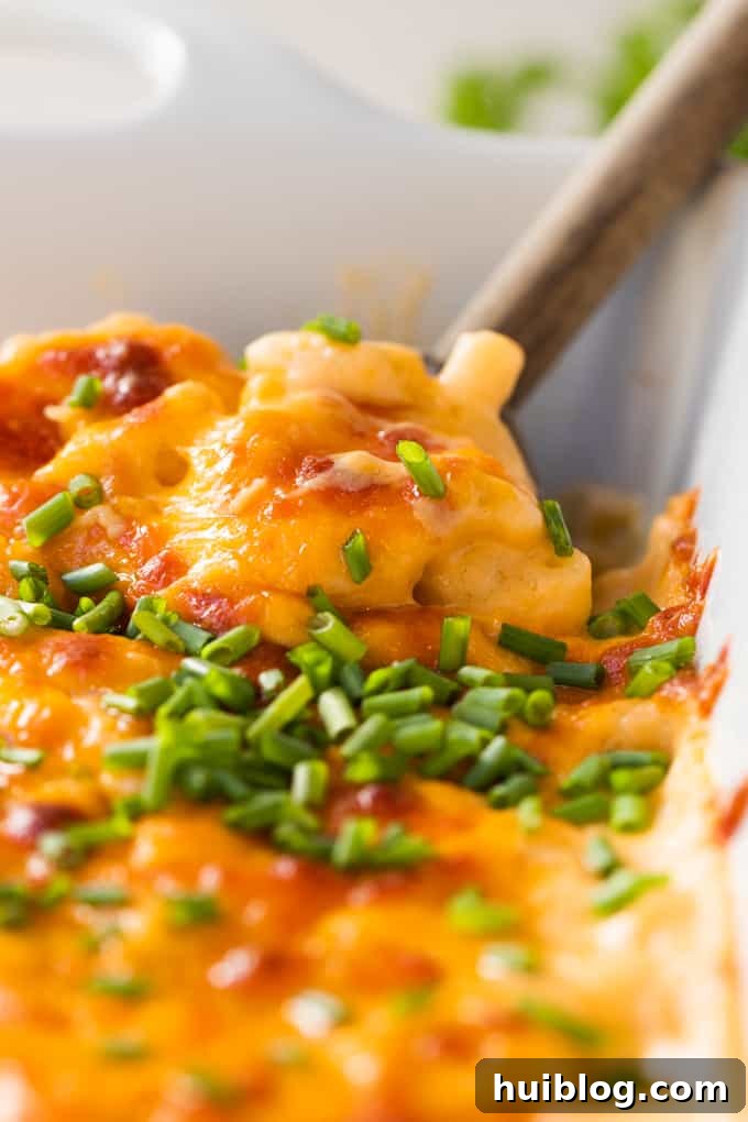 Golden Baked Mac and Cheese Made Easy 8 Wooden spoon digging into homemade macaroni and cheese scooping up noodles with crispy cheese topping all garnished with chopped chives.