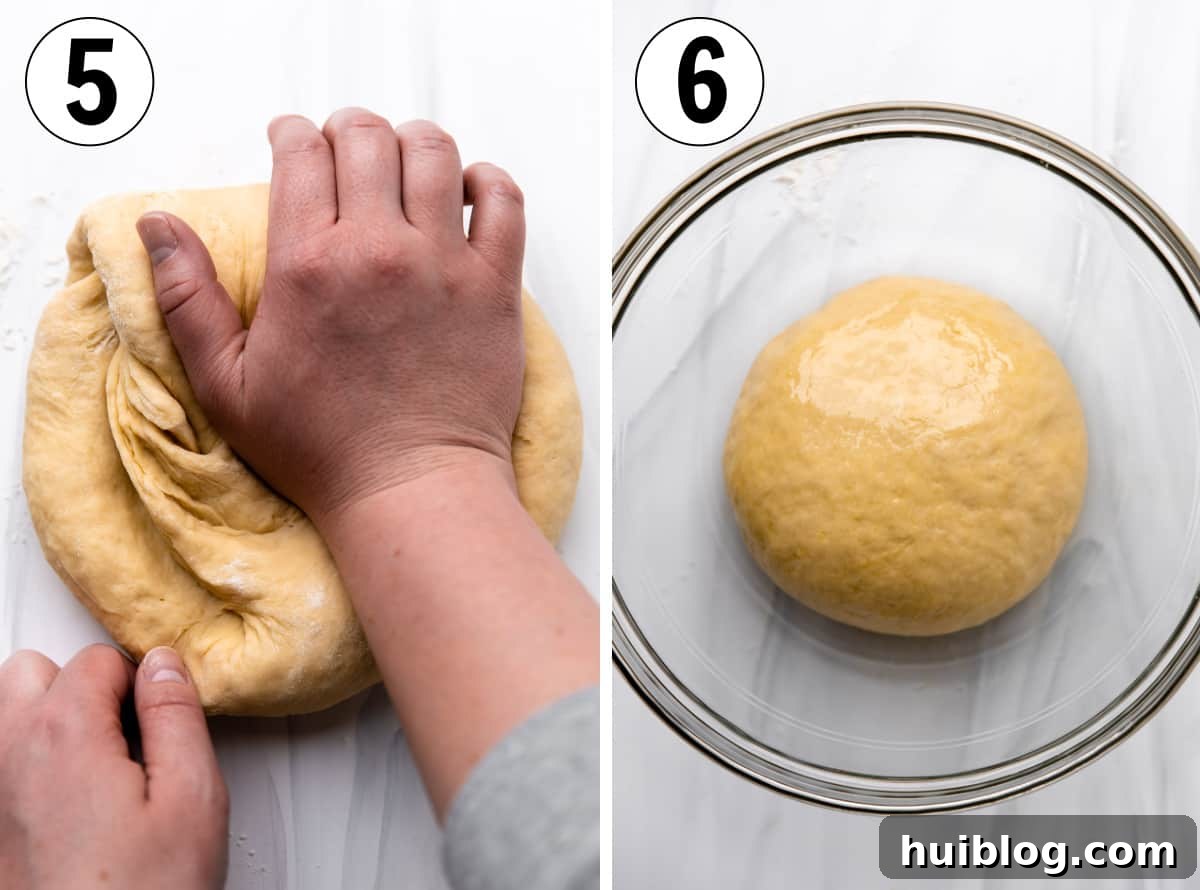 Texas Klobasnek Sausage Kolaches 6 How to make sausage kolaches, showing kneading the dough on a lightly floured surface to form a smooth ball, then placing it in a greased bowl to rise.