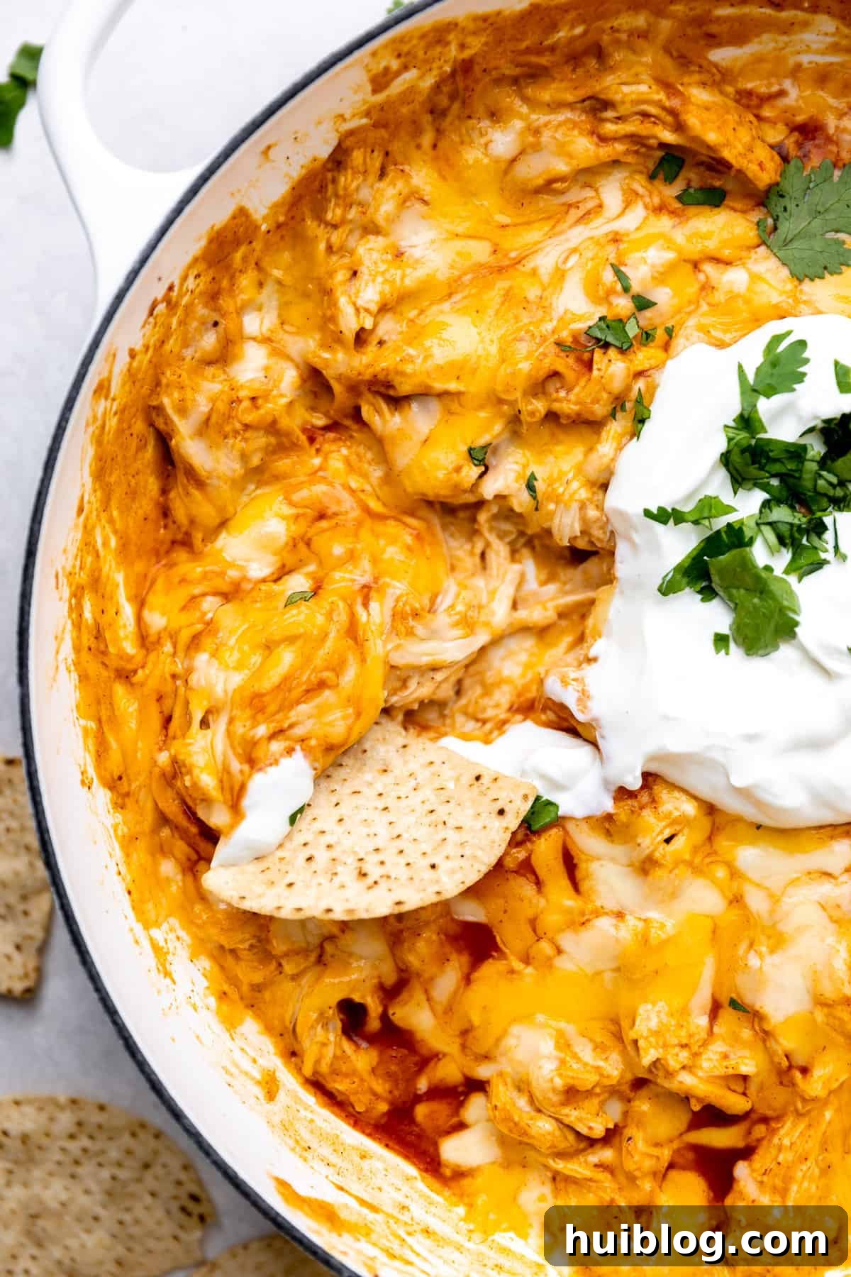 Loaded Cheesy Chicken Enchilada Dip 6 Up close of tortilla chip dipping into enchilada dip topped with sour cream and cilantro.