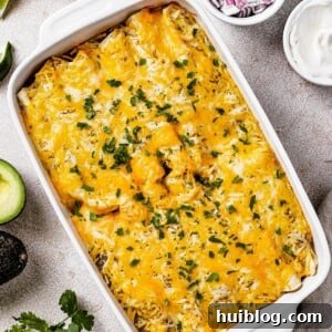 Baked enchiladas in a white dish, garnished with fresh cilantro.