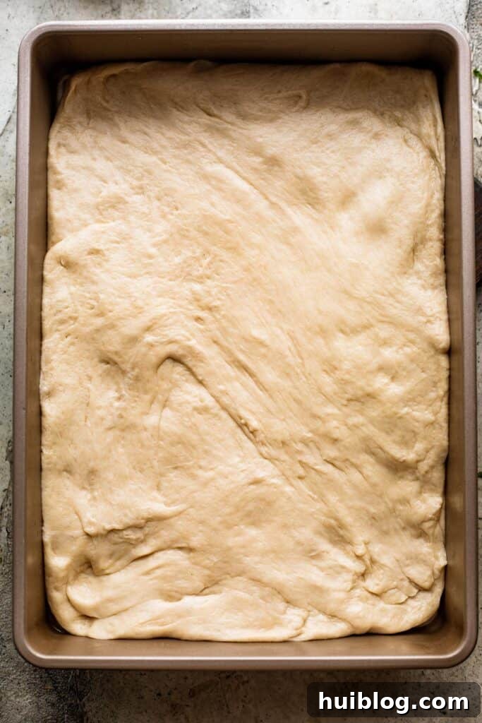 Aromatic Garlic and Herb Focaccia 6 Focaccia bread dough spread evenly in a rectangular baking pan, ready for its second rise.