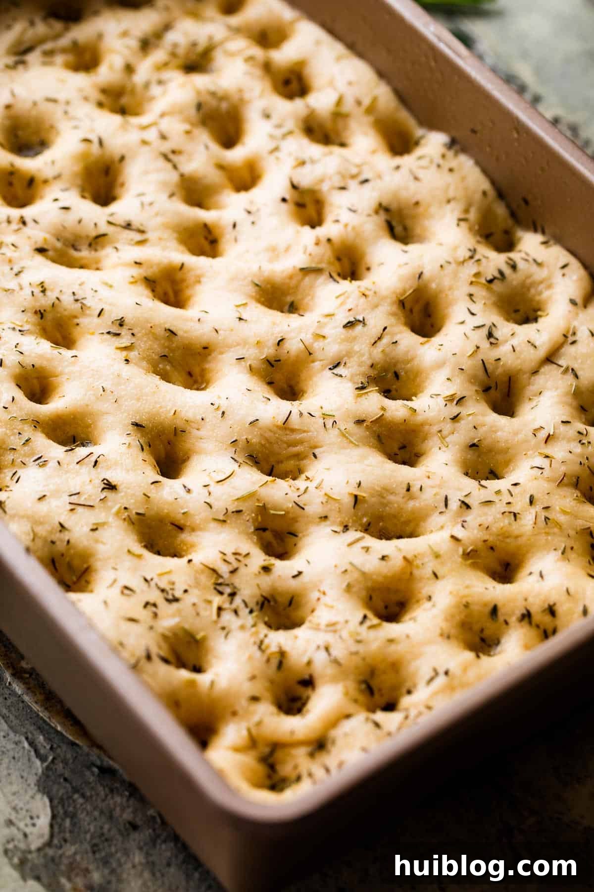 Aromatic Garlic and Herb Focaccia 7 A pan of unbaked focaccia dough, generously poked all over with finger holes and beautifully sprinkled with fresh herbs and garlic.