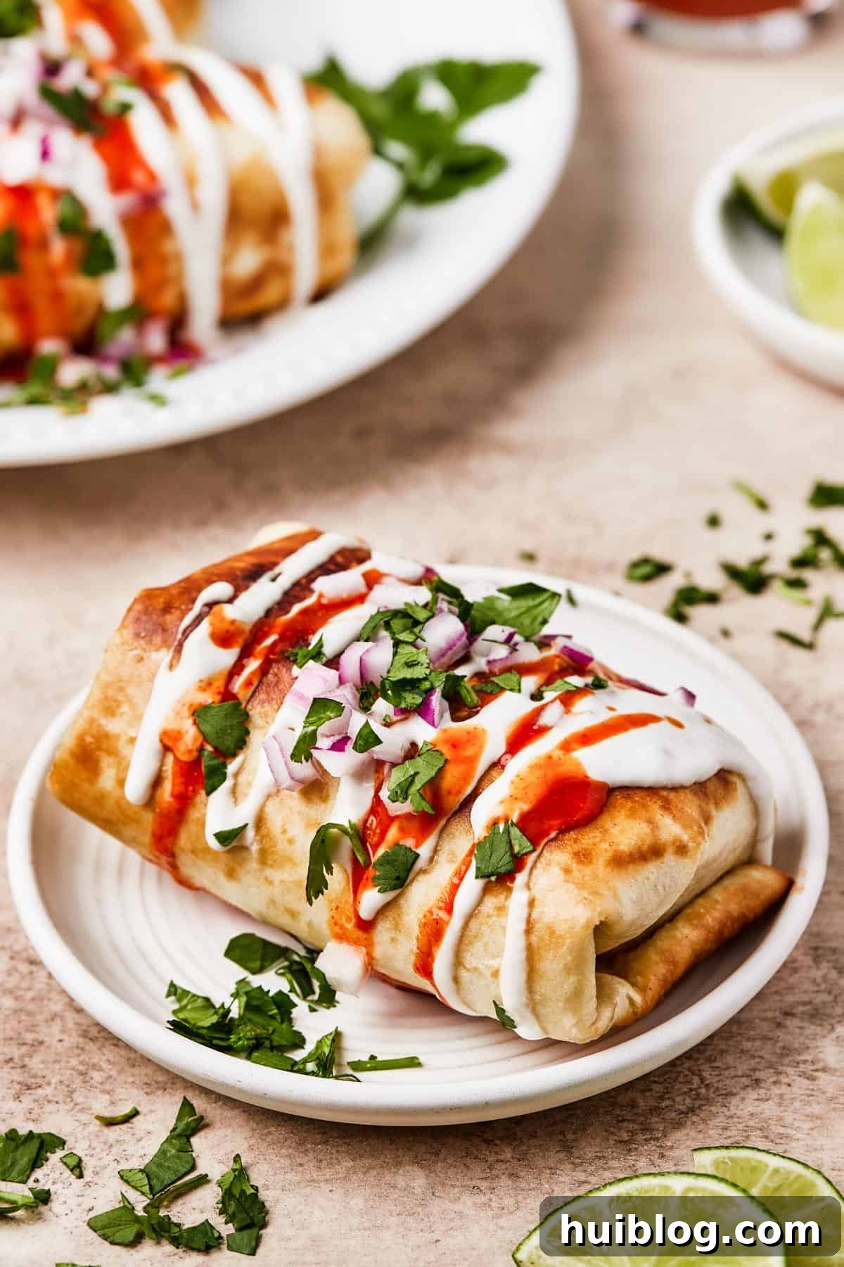 Close-up shot of fried burritos with toppings.