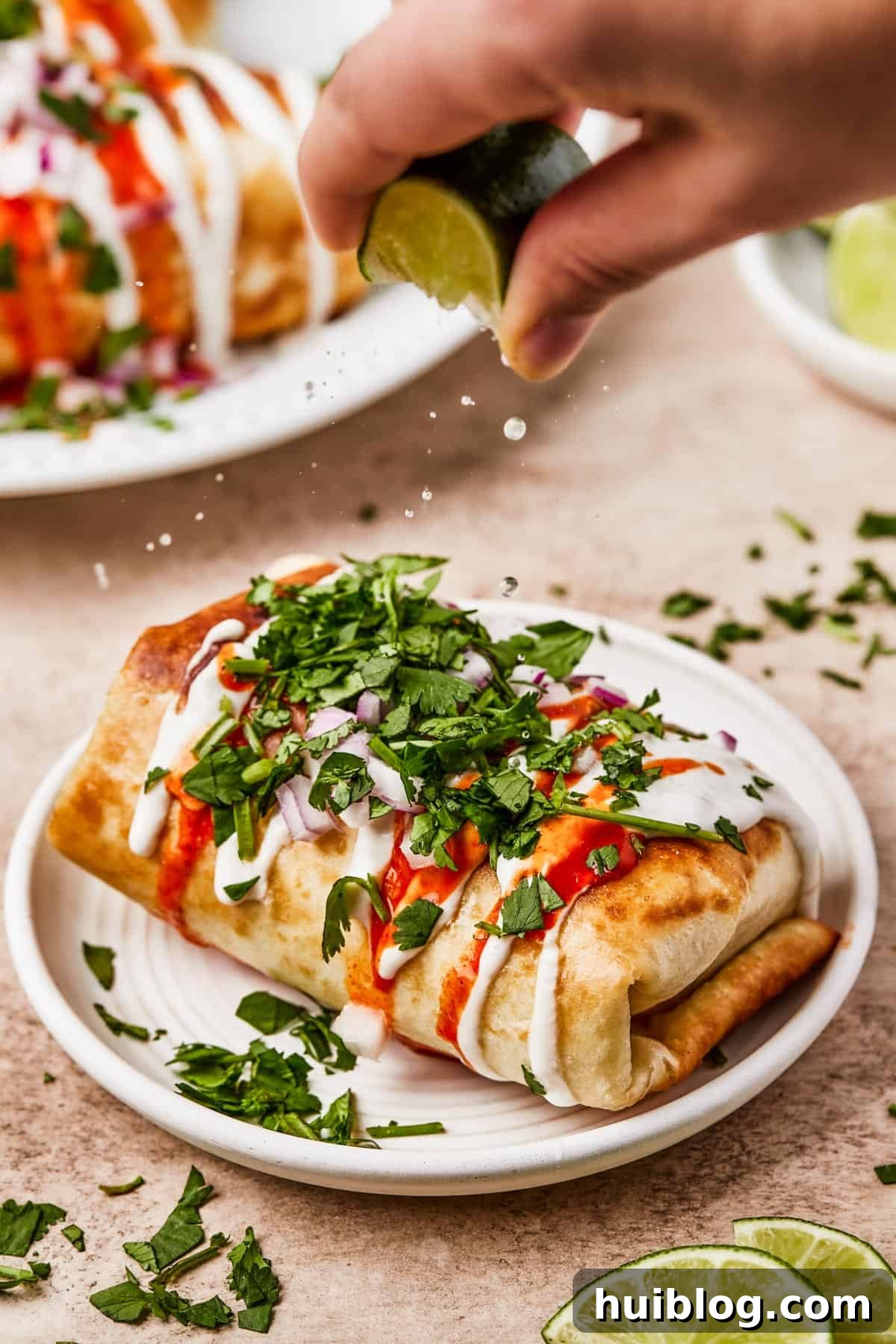 Close-up shot of fried burritos with toppings.
