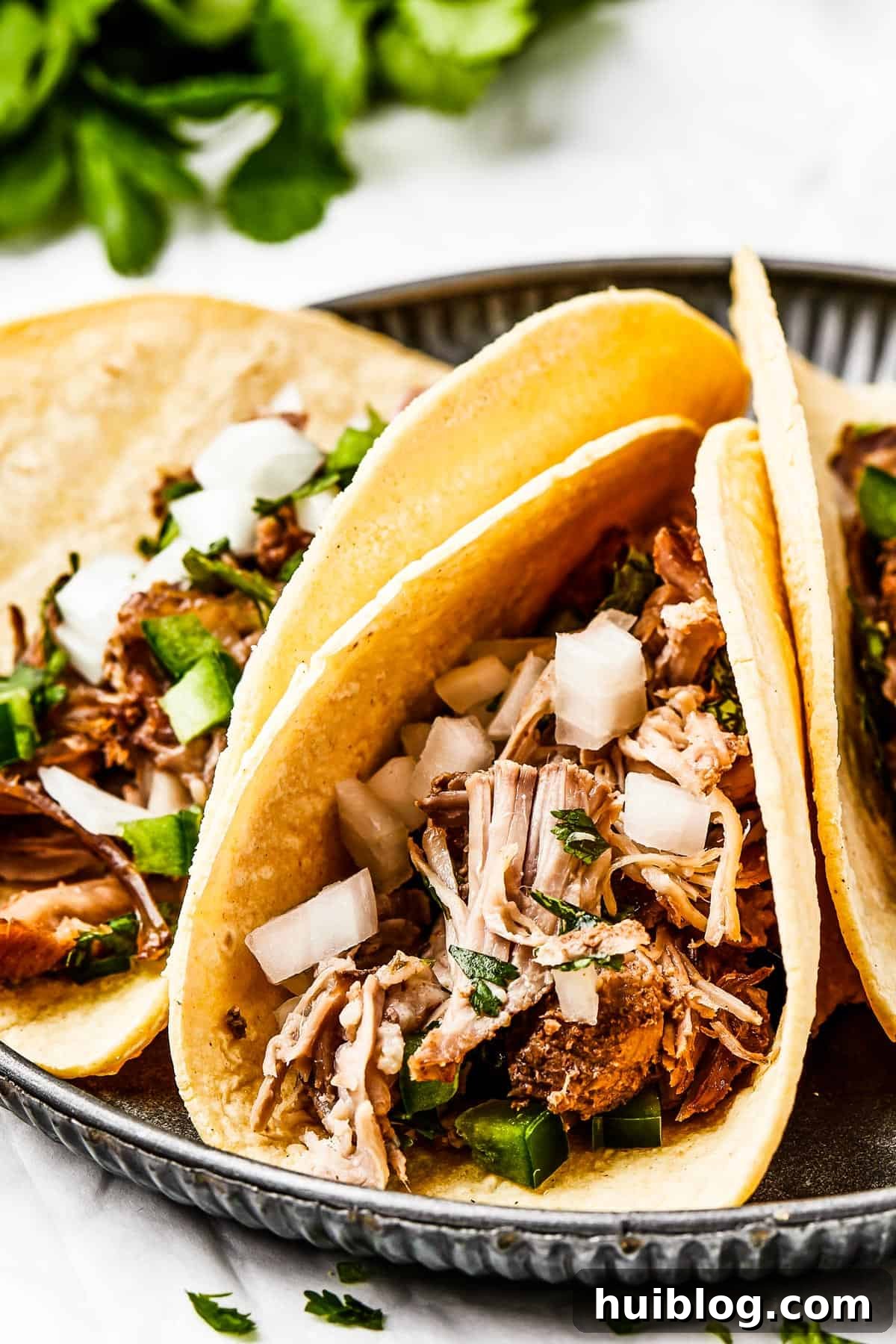 Close-up shot of three pork carnitas tacos with diced onion and fresh cilantro garnish.