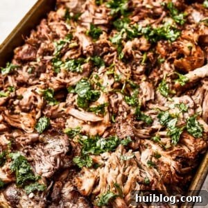 Crispy pork carnitas, garnished with fresh cilantro.