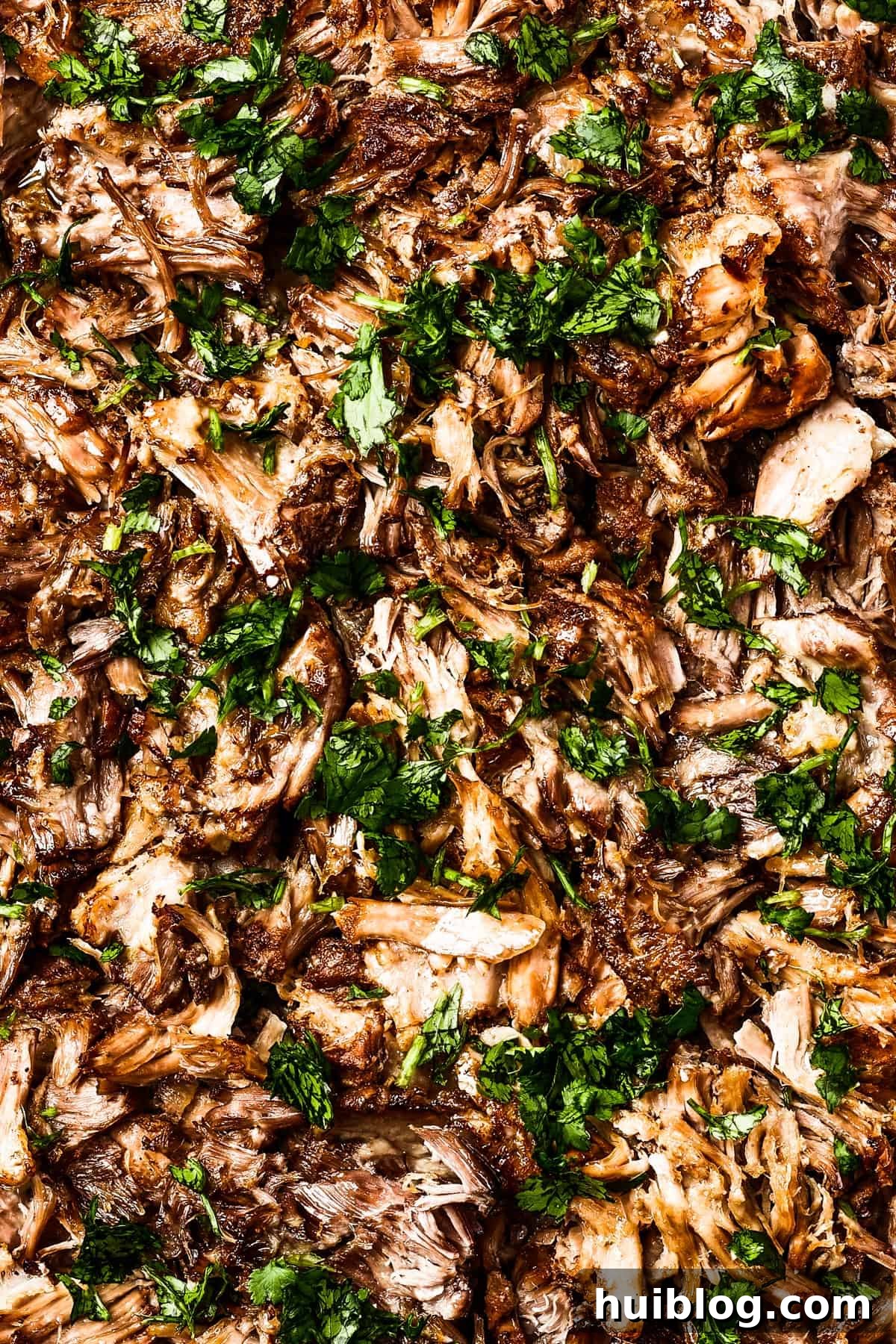 Crispy pork carnitas, garnished with fresh cilantro, ready to serve.