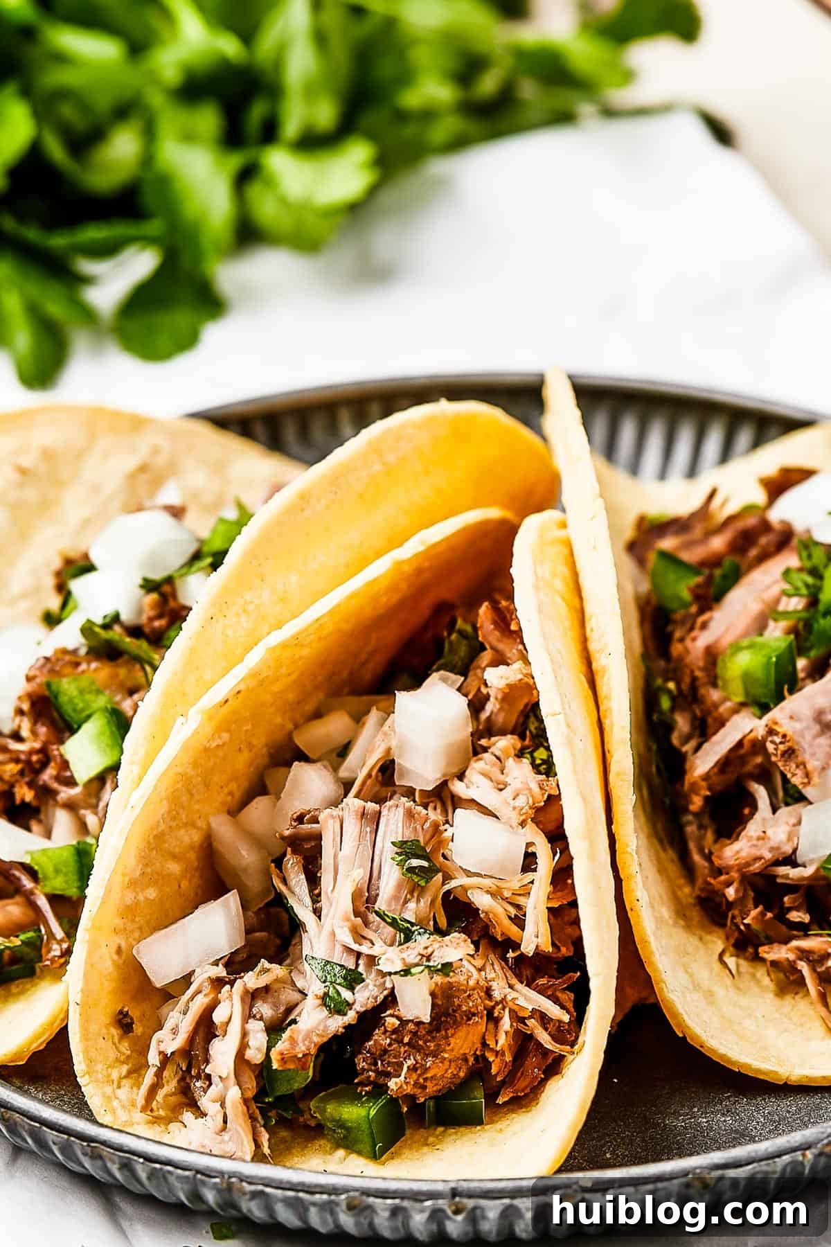 Close-up shot of three pork tacos with onion and herbs, enticingly arranged.