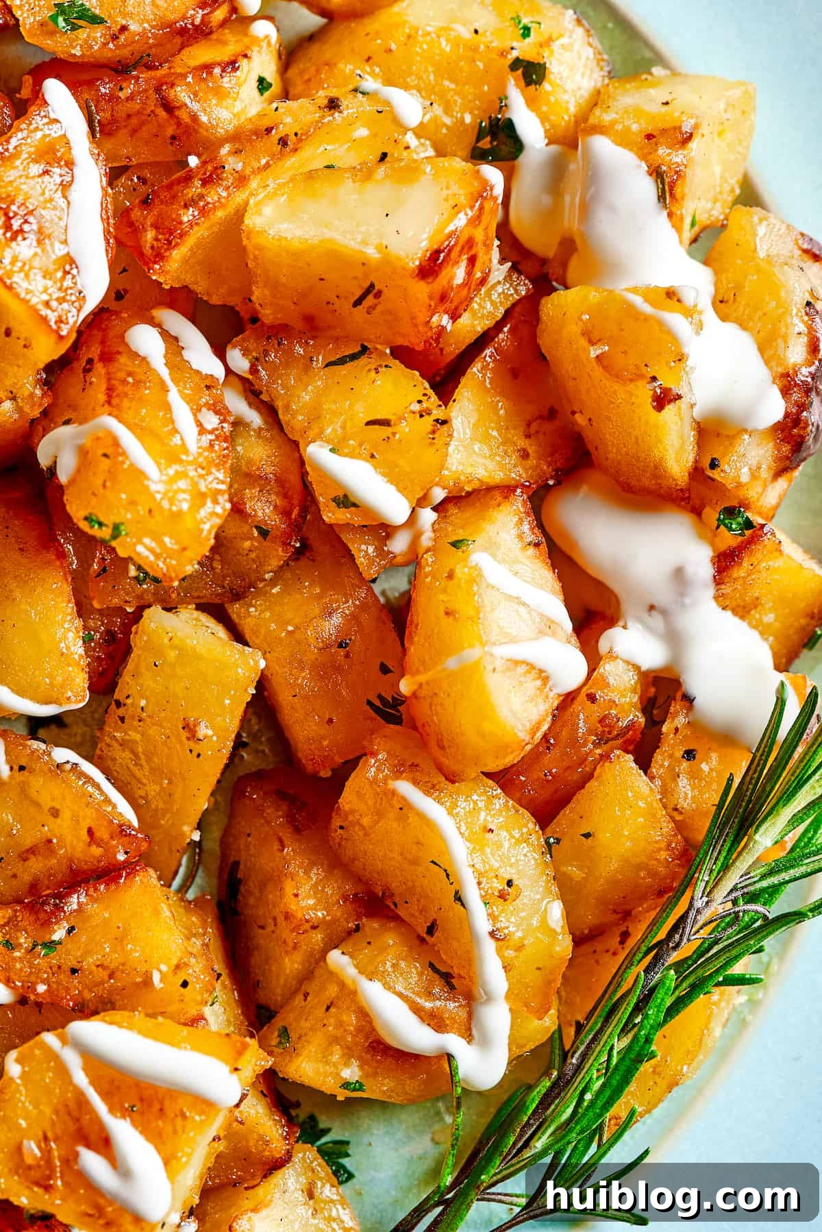 Close-up shot of roasted seasoned potatoes garnished with fresh rosemary and a side of creamy yogurt sauce.