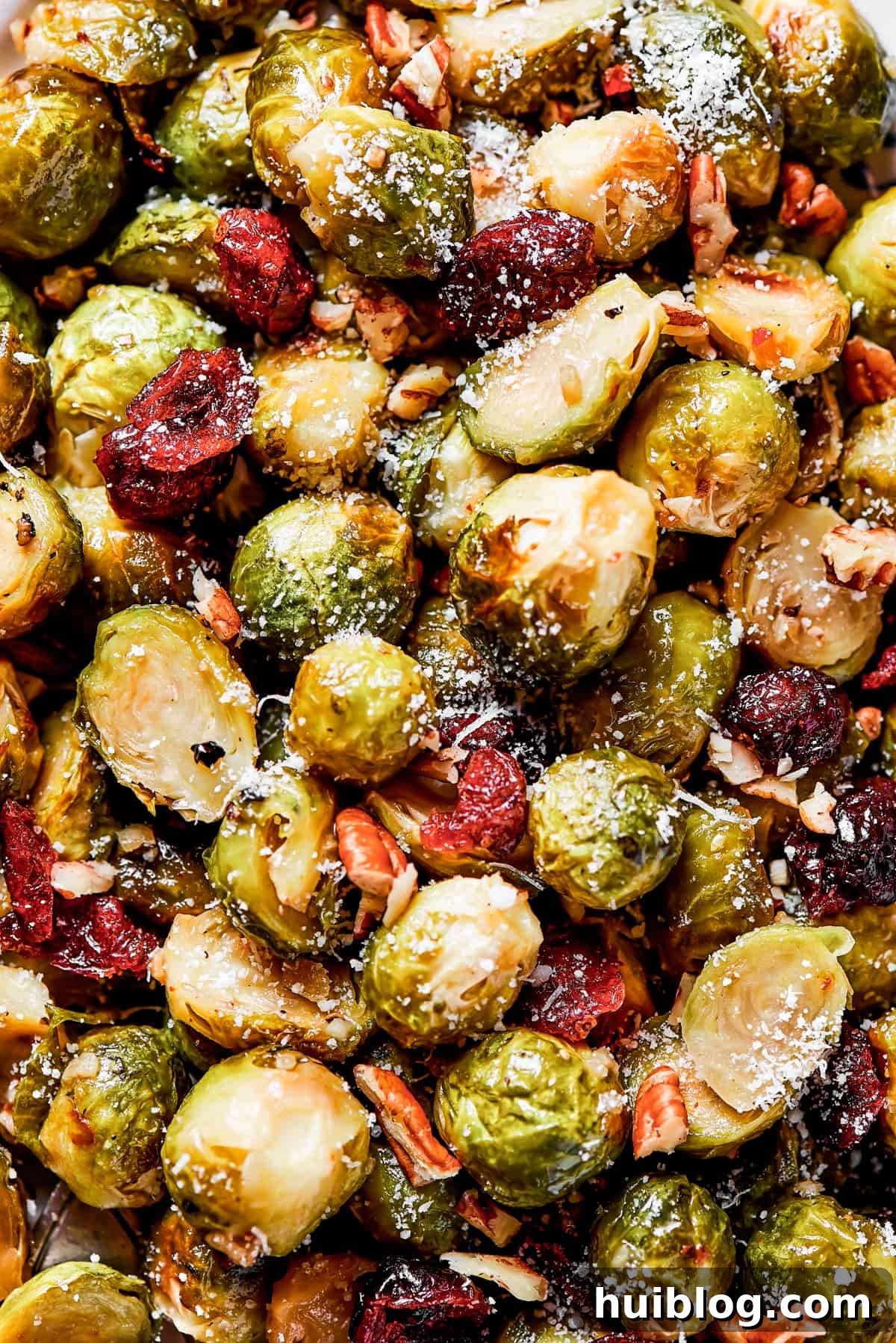 Close-up shot of perfectly glazed roasted Brussels sprouts, beautifully garnished with bright red dried cranberries and crunchy chopped pecans, glistening and ready to be served.