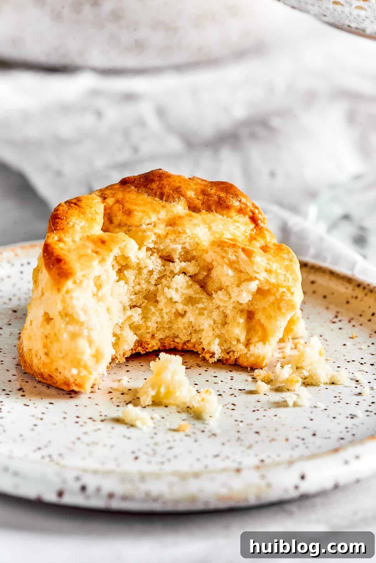 A delicious homemade biscuit with a bite taken out, resting on a small, elegant plate, revealing its soft, fluffy interior.