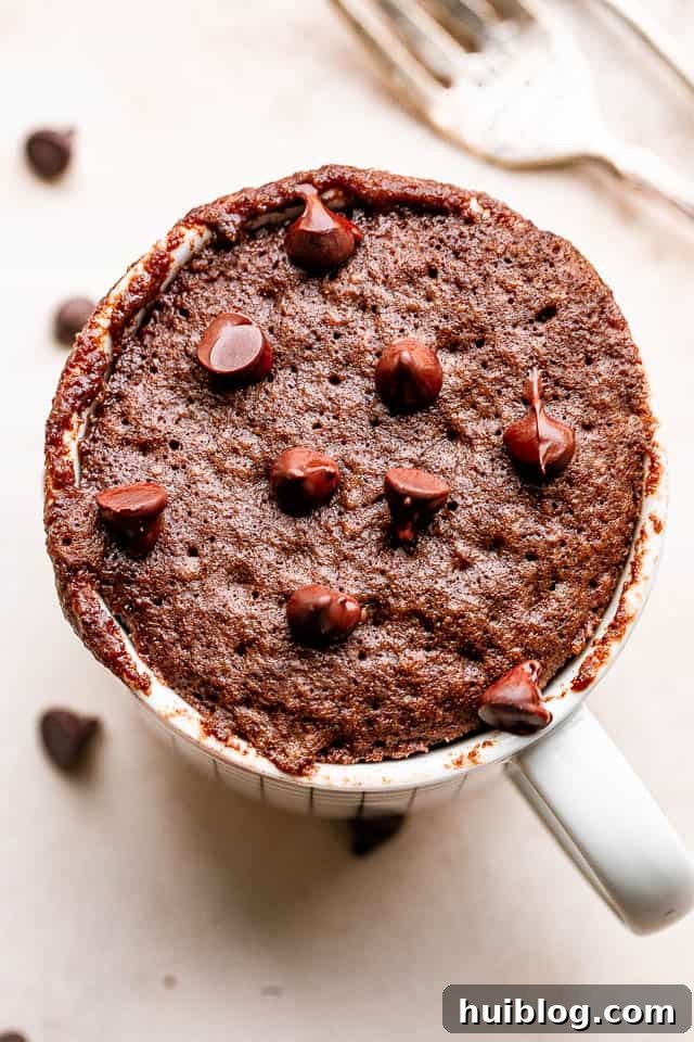 A perfectly cooked chocolate mug cake, generously studded with melted chocolate chips and ready to be devoured.