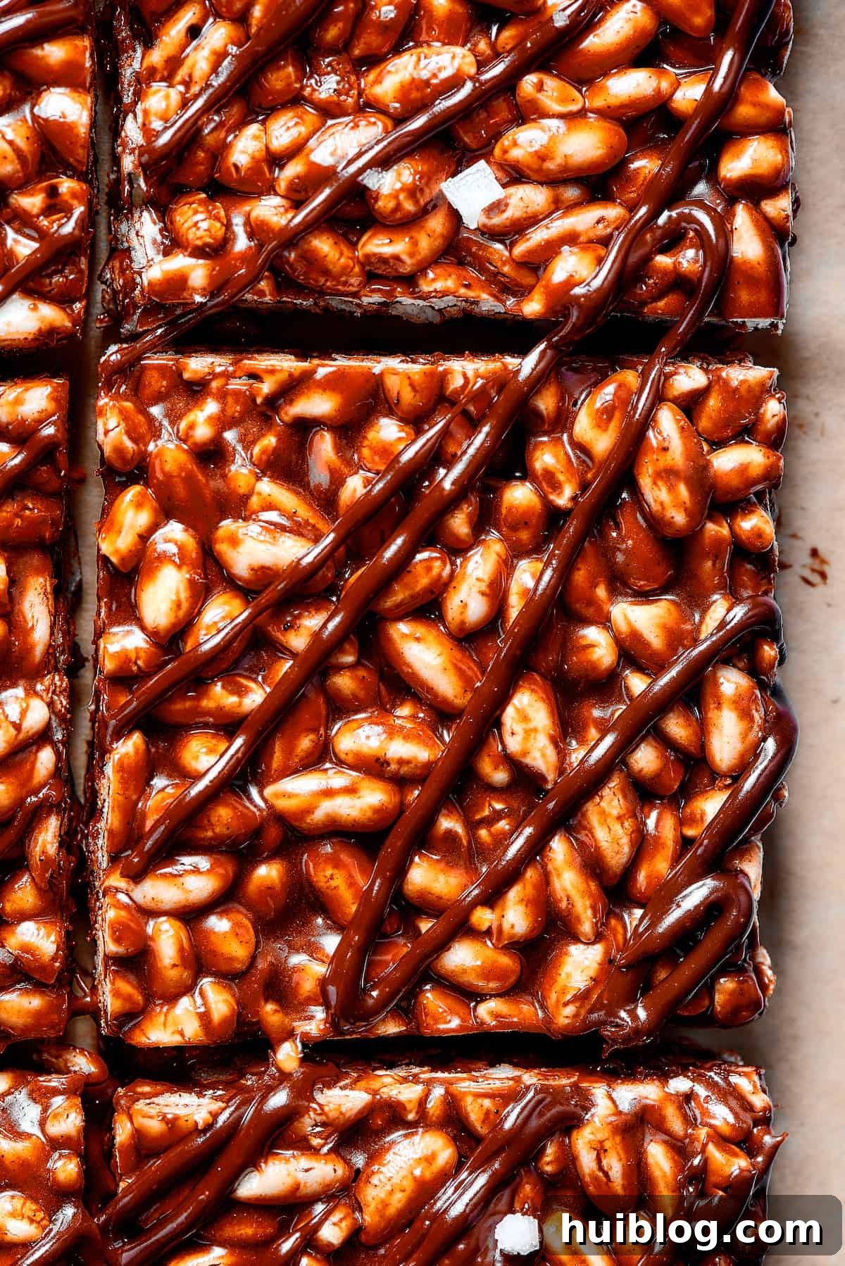 Delectable chocolate rice krispie treats, drizzled with extra chocolate, showcasing their inviting appearance. Squares of chocolate rice crispy bars, beautifully finished with a generous drizzle of chocolate topping, resting on a serving platter.