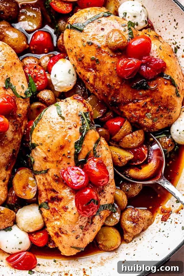 One-Pan Balsamic Chicken and Potatoes 2 Top view of balsamic baked chicken breasts topped with fresh basil, tomatoes, and mozzarella cheese balls, presenting a vibrant and inviting sheet pan dinner.