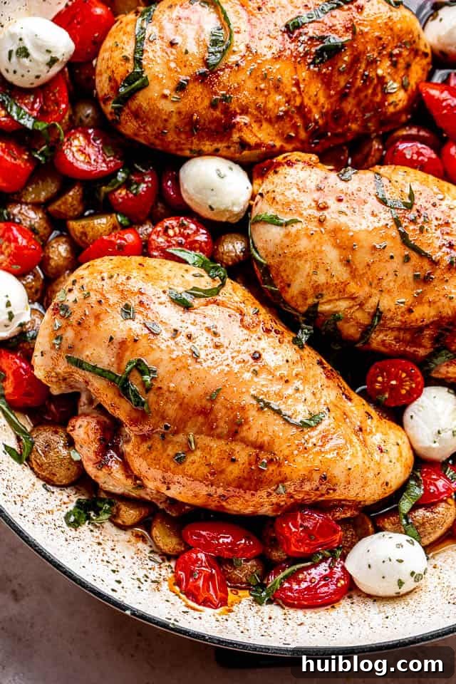 One-Pan Balsamic Chicken and Potatoes 6 Close-up shot of perfectly brushed chicken breasts with balsamic glaze, accompanied by vibrant cherry tomatoes, delicate mozzarella cheese balls, and a scattering of fresh basil leaves, showcasing the dish's irresistible appeal.