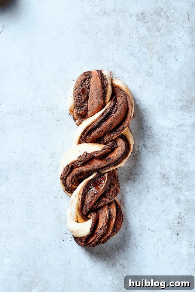 Layered, chocolate filled pieces of dough wrapped around each other.