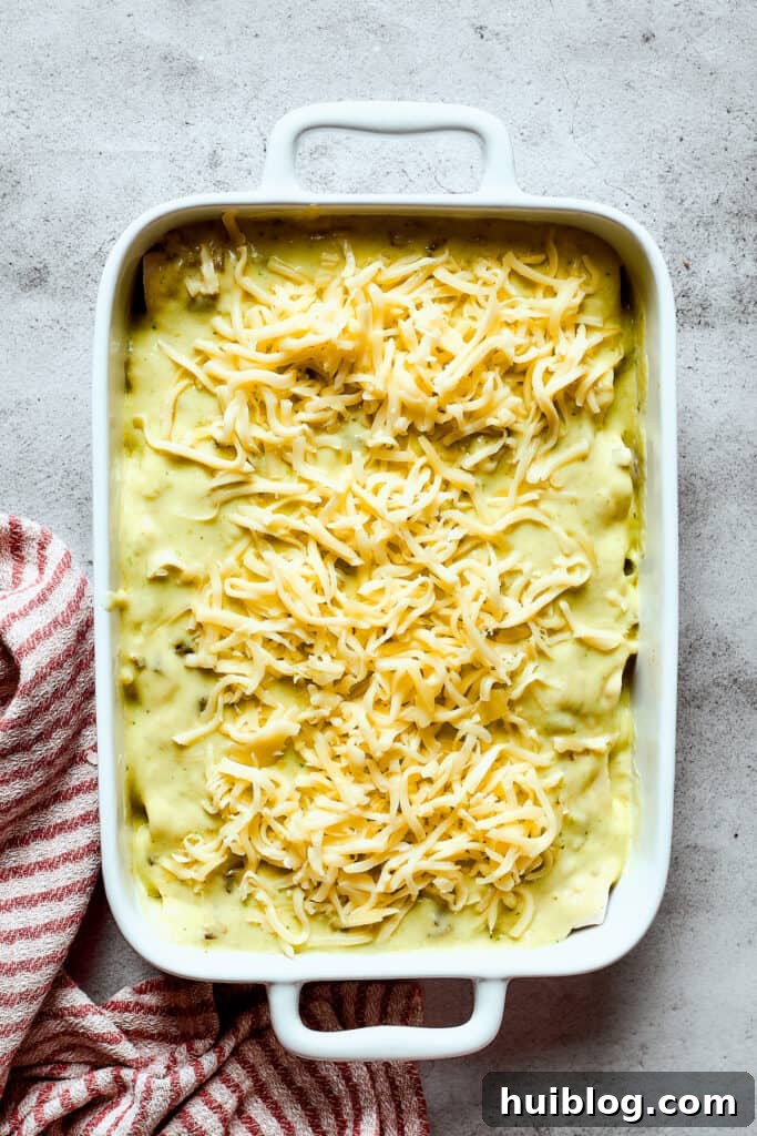 Shrimp Enchiladas are an easy, cheesy dinner with chopped shrimp and green enchilada sauce. The perfect balance of creamy, spicy, and savory! Unbaked shrimp enchiladas.