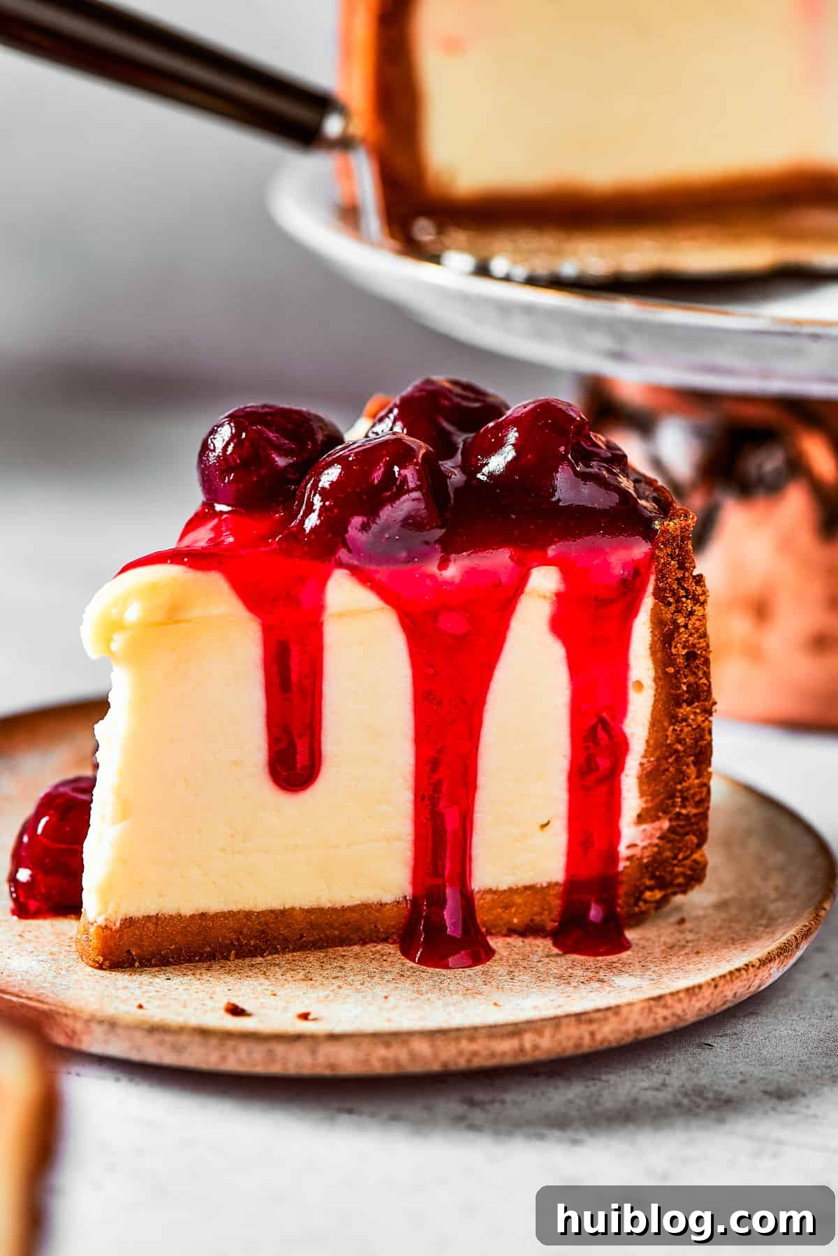 A single slice of Cherry Cheesecake, artfully presented on a small white dessert plate with a delicate garnish, ready to be enjoyed.
