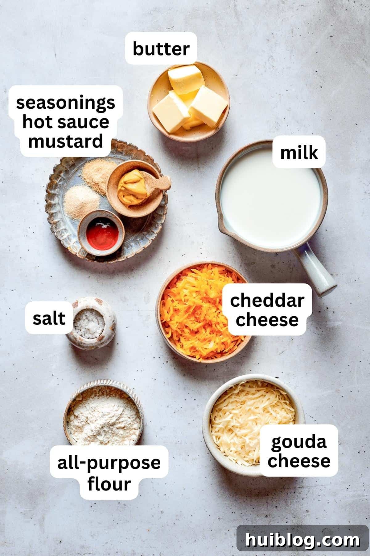 Ingredients to make pretzel dip are shown portioned out: shredded cheese, milk, mustard, onion powder, salt, garlic powder, and a touch of cayenne.