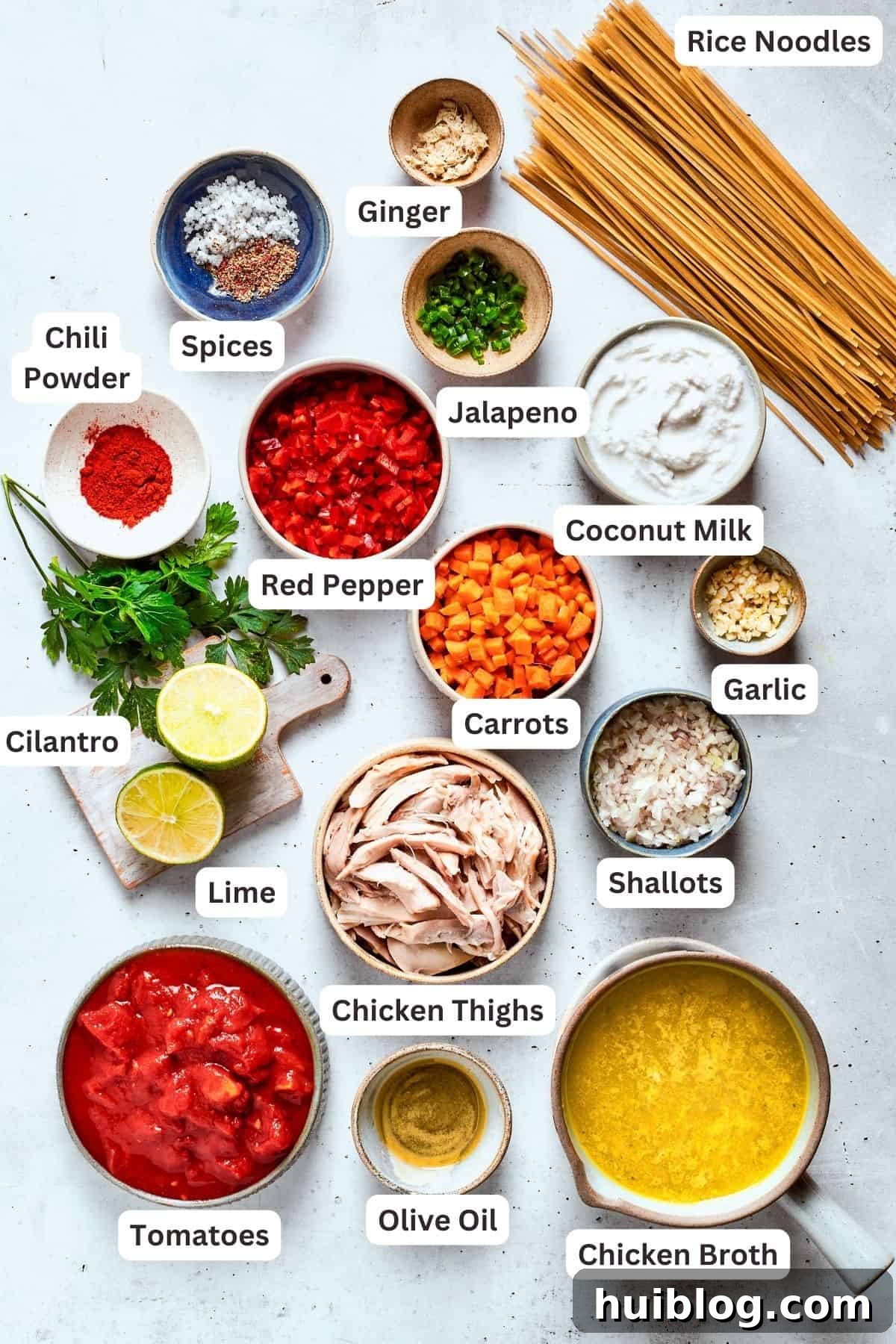 The ingredients for spicy chicken soup are shown portioned out: red pepper, chicken, coconut milk, garlic, carrots, shallots, lime, cilantro, broth, noodles, tomatoes, jalapeno, chili powder, ready to be cooked.