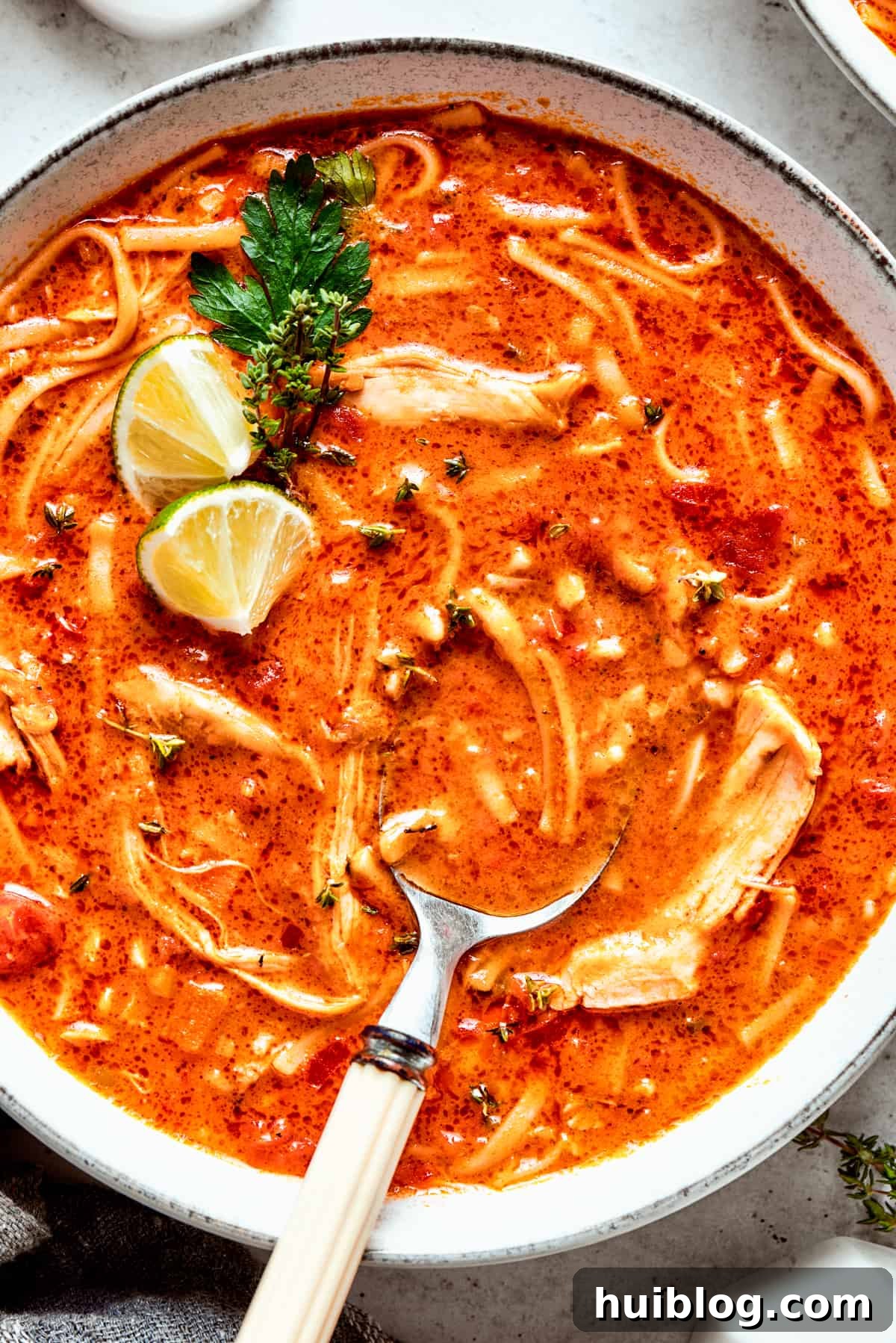 An overhead up close image of a bowl of spicy chicken soup with a spoon resting in the soup, showing its rich texture and vibrant colors.