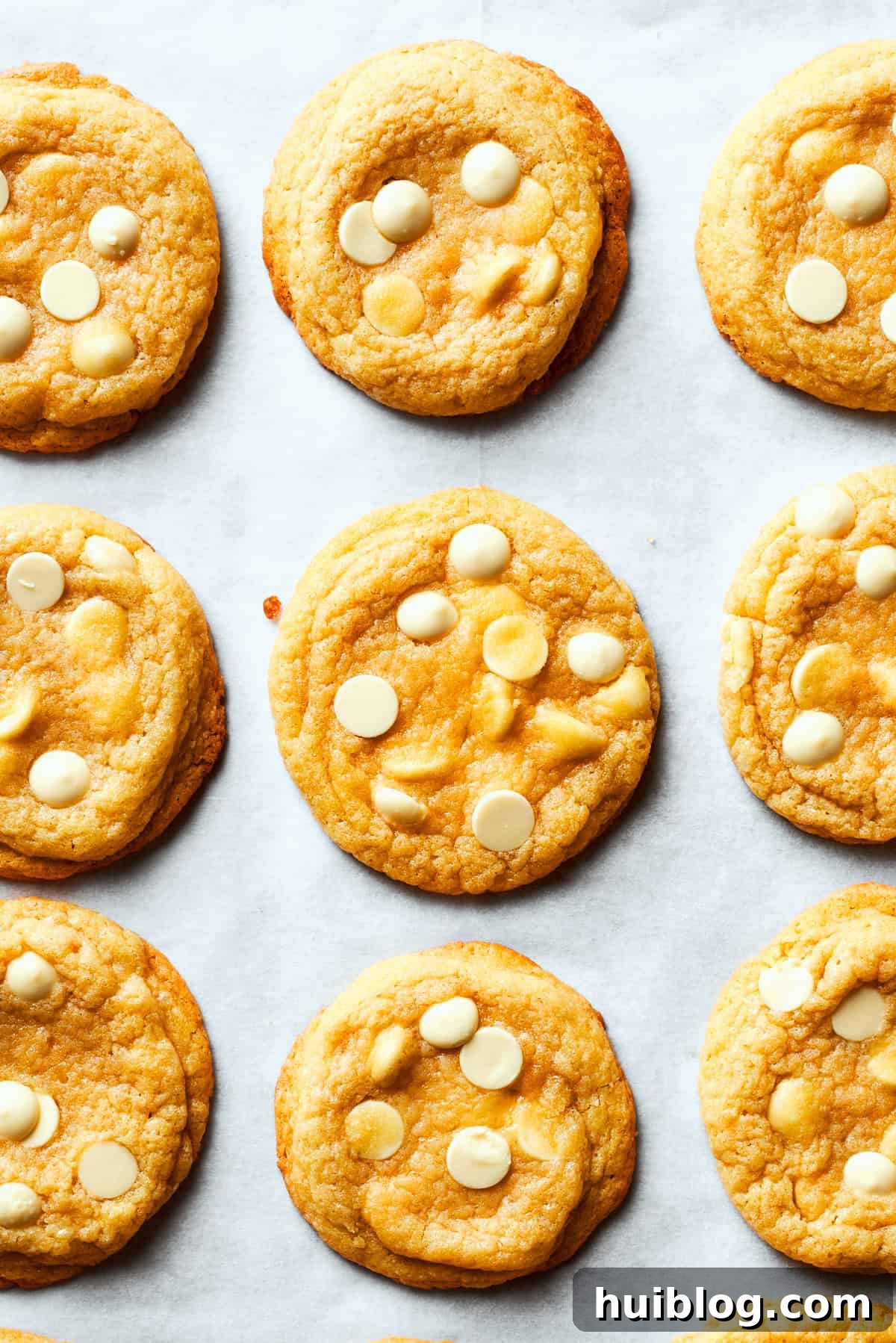 Nine perfectly baked chewy white chocolate chip cookies arranged neatly on a crisp white background, showcasing their golden edges and melt-in-your-mouth centers dotted with sweet white chocolate.
