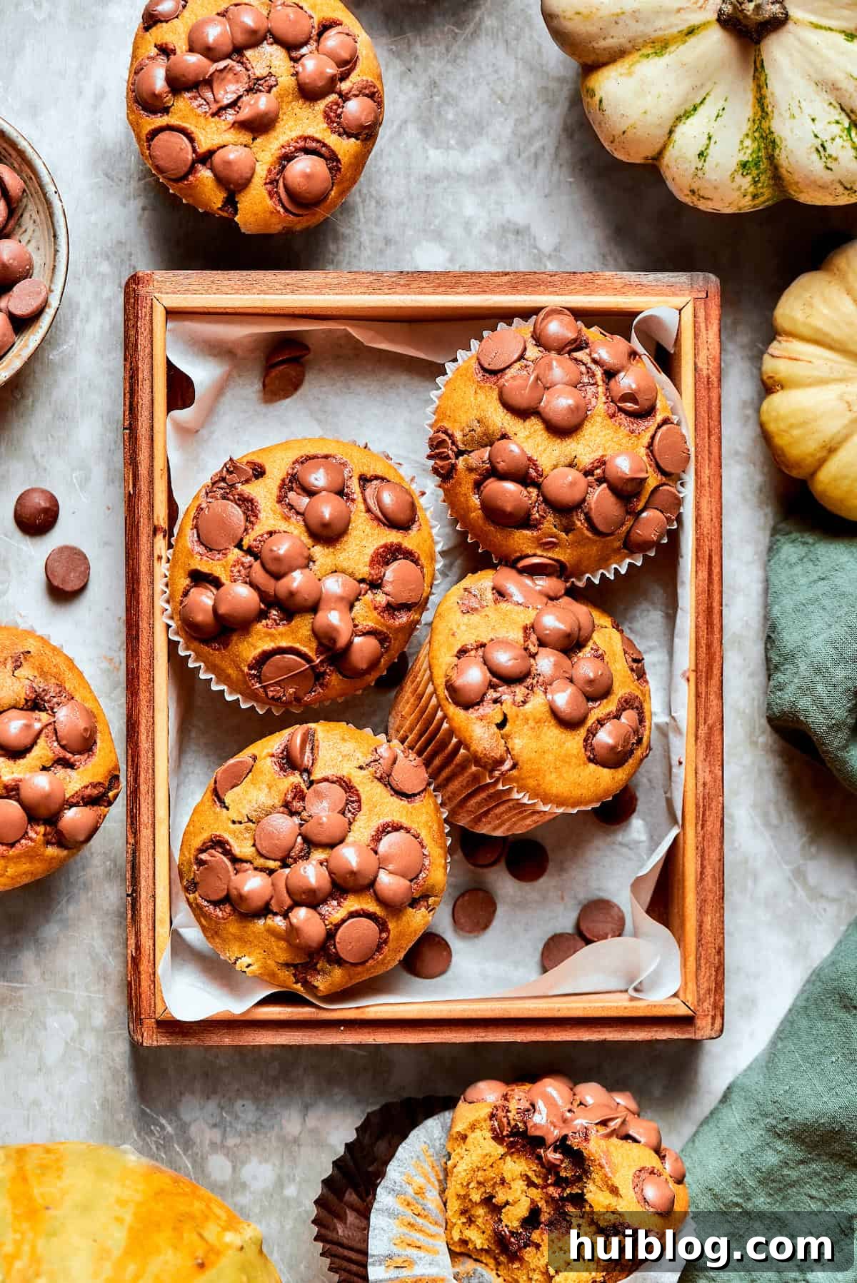 A beautifully arranged tray of golden-brown pumpkin chocolate chip muffins, adorned with small decorative pumpkins, evoking a sense of autumn comfort.