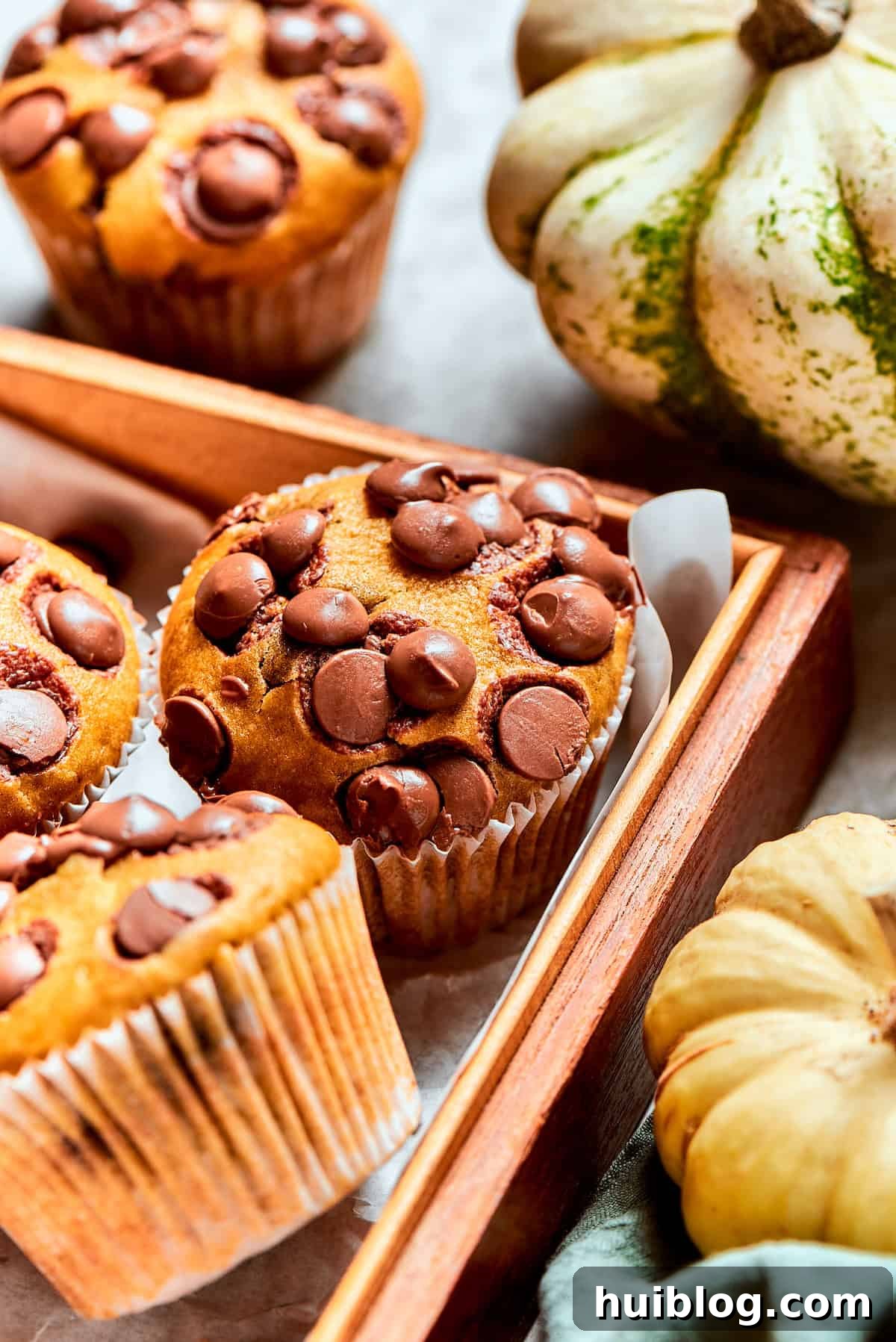 A close-up shot of pumpkin muffins generously studded with semisweet chocolate chips, creating an enticing visual before baking.