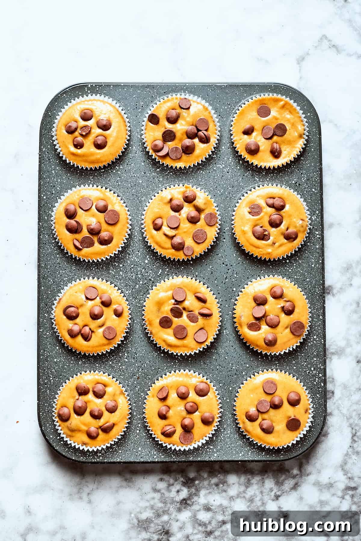 The finished pumpkin chocolate chip muffin batter evenly portioned into a lined 12-cup muffin tin, with extra chocolate chips sprinkled on top, prepared for baking.