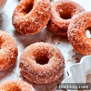 Cinnamon sugar sparkles on baked apple cider donuts.