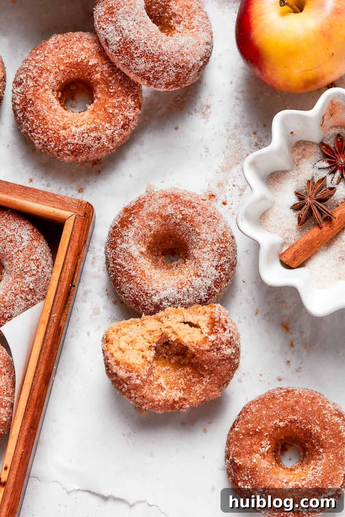 A perfectly baked apple cider donut with a bite taken out, revealing its tender, cakey interior and spiced sugar coating.