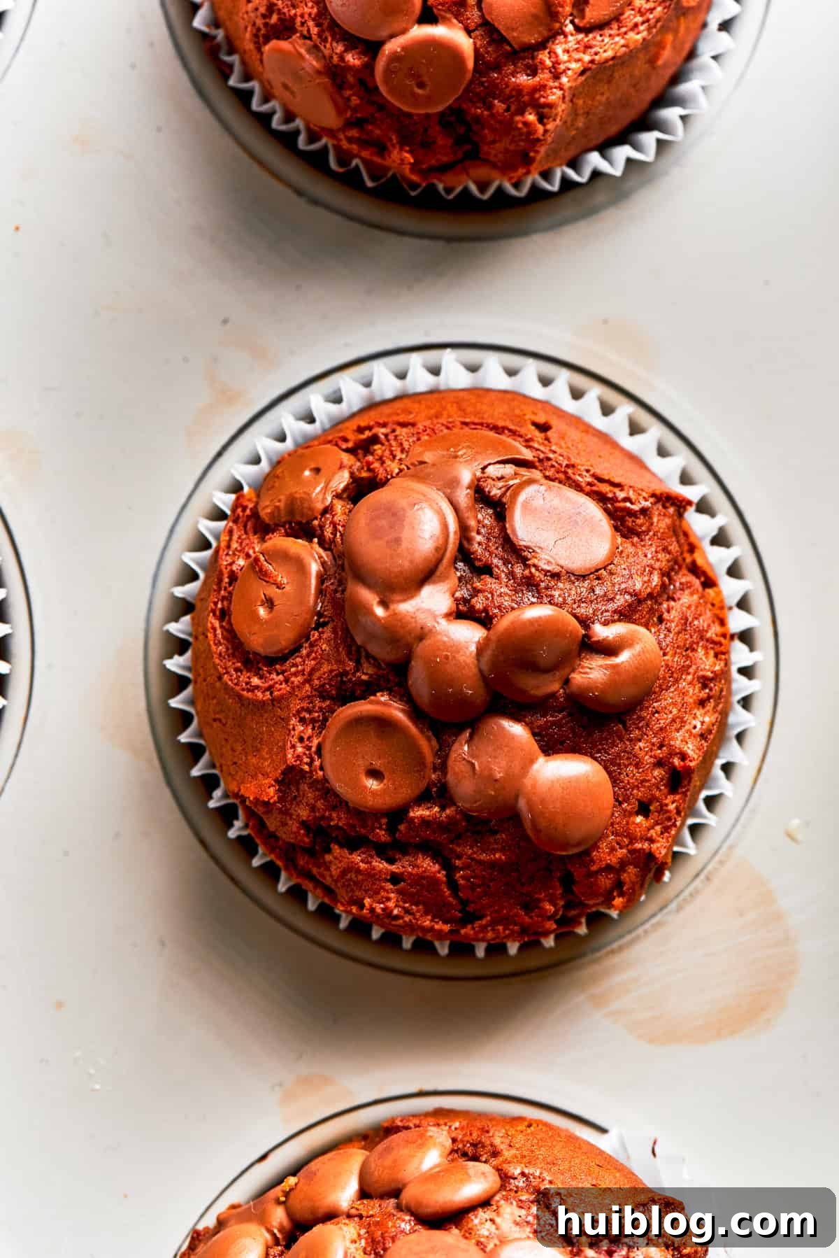 Close-up overhead view of a single chocolate muffin top, showing its domed shape and chocolate chips.