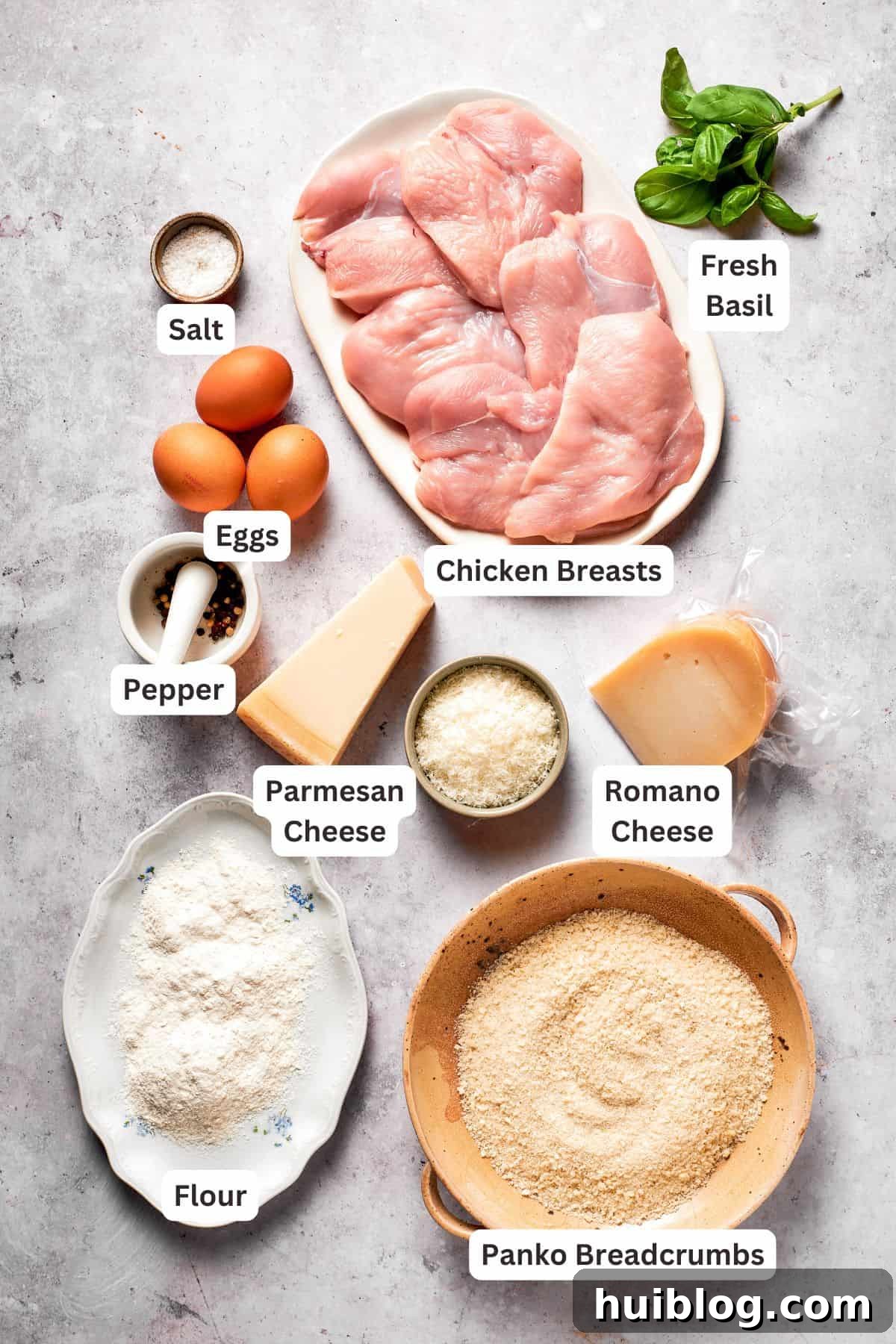 All the fresh ingredients for Crusted Chicken Romano, including chicken breasts, eggs, flour, breadcrumbs, Romano and Parmesan cheese, oil, marinara, spaghetti, and fresh basil, neatly arranged and labeled.