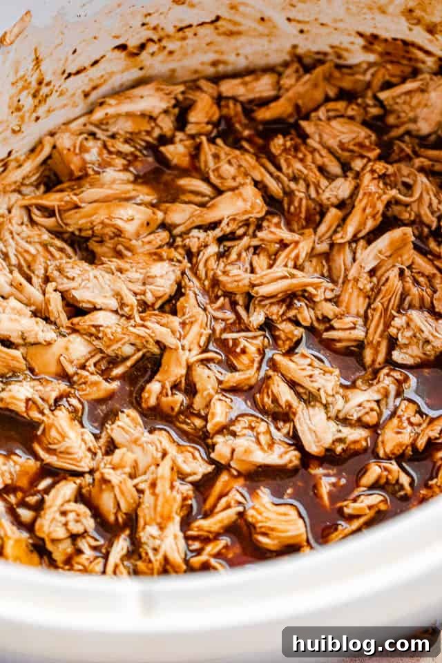 top view of barbecue shredded chicken