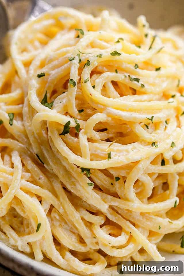 close up shot of creamy spaghetti with fresh parsley garnish