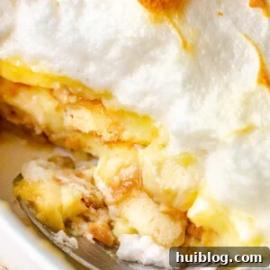 side view of scooping out banana pudding dessert