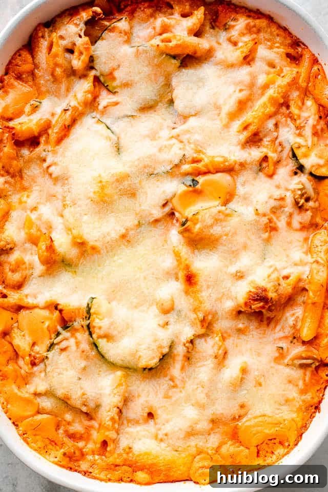 Velvety Zucchini Mushroom Pasta Bake 6 A top-down overhead shot of a creamy baked pasta and zucchini casserole, showing the beautifully melted and golden-brown mozzarella cheese topping in a white baking dish.