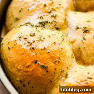 side view close up shot of baked dinner rolls sprinkled with herbs and set in a pan