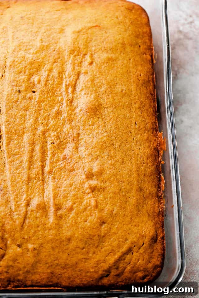 A baking dish filled with unbaked pumpkin cake batter, evenly spread and ready for the oven.