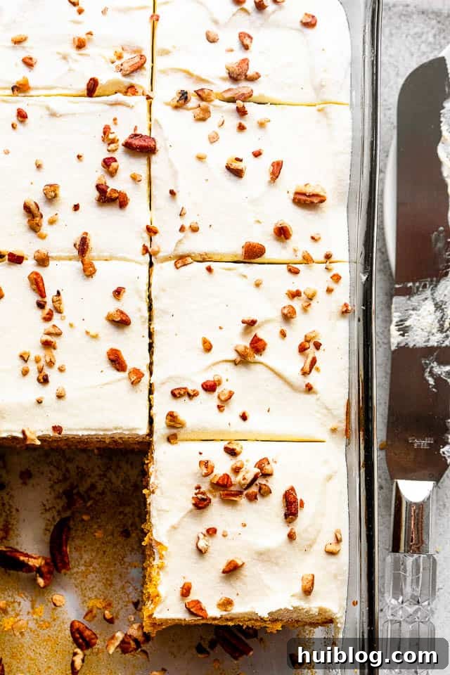 Overhead shot of a cream cheese frosted pumpkin cake sprinkled with chopped pecans, cut into perfect squares.