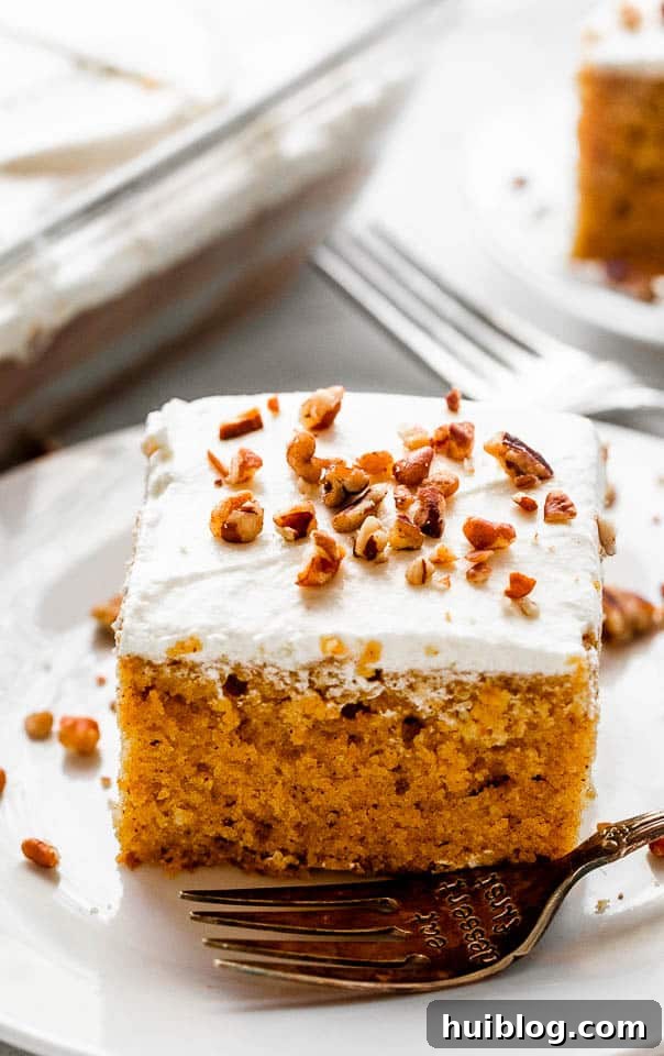 A perfectly cut slice of pumpkin bar topped with a swirl of cream cheese frosting and a sprinkle of chopped pecans on a white plate.