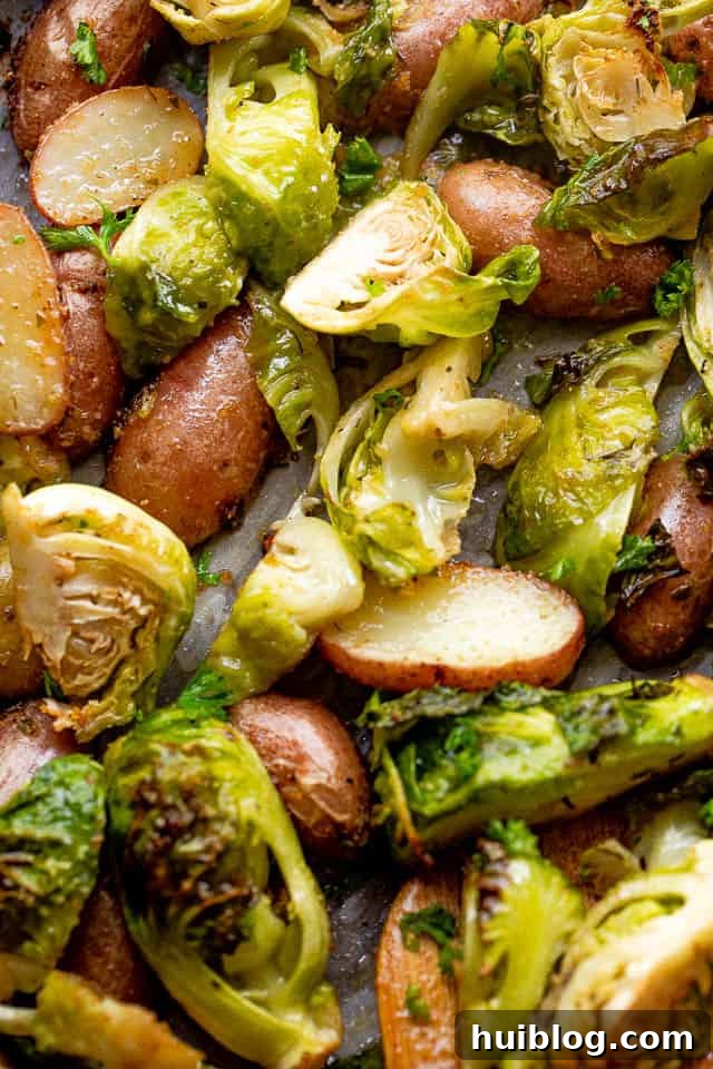 Close-up overhead view of cooked brussels sprouts and fingerling potatoes, glistening with balsamic glaze and showing a perfect crispy char.