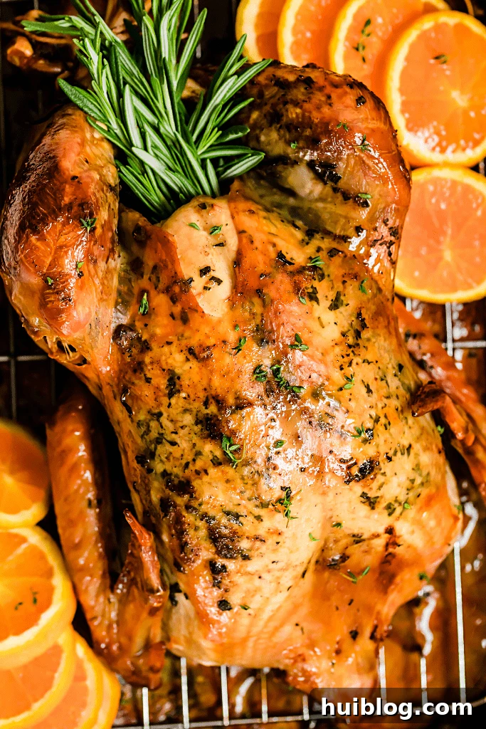 Succulent Roasted Turkey Feast 2 overhead close up shot of a whole roasted turkey on a roasting pan, garnished with herbs and citrus