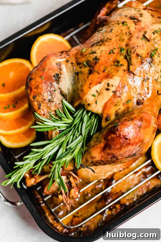 Succulent Roasted Turkey Feast 3 Roasted turkey stuffed with fresh rosemary and other aromatics.